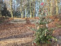 Vánoce v Lesním divadle Křenovice